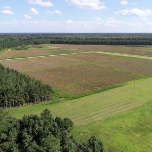 Photo of UNDER CONTRACT!  650 Acres of Farm and Timber Land For Sale in Halifax County NC!
