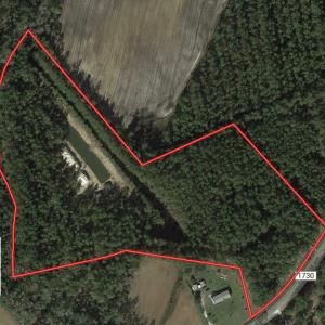 Photo of UNDER CONTRACT!  16 Acres of Hunting and Timber Land For Sale in Columbus County NC!