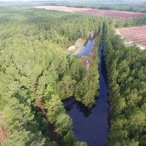 Photo of UNDER CONTRACT!  16 Acres of Hunting and Timber Land For Sale in Columbus County NC!