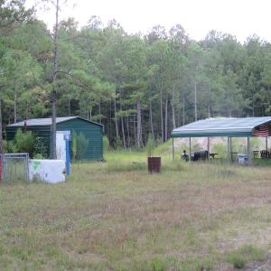Photo of UNDER CONTRACT!  16 Acres of Hunting and Timber Land For Sale in Columbus County NC!