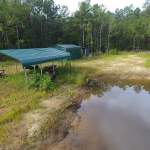 Photo of UNDER CONTRACT!  16 Acres of Hunting and Timber Land For Sale in Columbus County NC!