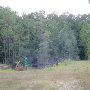 Photo of UNDER CONTRACT!  16 Acres of Hunting and Timber Land For Sale in Columbus County NC!