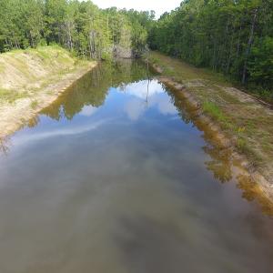 Photo of UNDER CONTRACT!  16 Acres of Hunting and Timber Land For Sale in Columbus County NC!