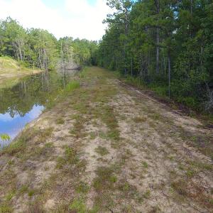 Photo of UNDER CONTRACT!  16 Acres of Hunting and Timber Land For Sale in Columbus County NC!