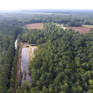 Photo of UNDER CONTRACT!  16 Acres of Hunting and Timber Land For Sale in Columbus County NC!