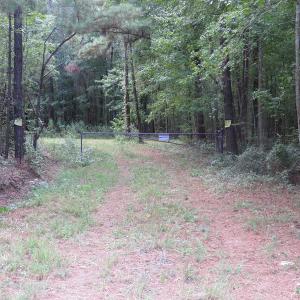 Photo of UNDER CONTRACT!  16 Acres of Hunting and Timber Land For Sale in Columbus County NC!