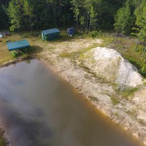 Photo of UNDER CONTRACT!  16 Acres of Hunting and Timber Land For Sale in Columbus County NC!