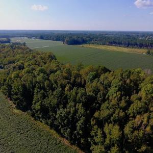 Photo of UNDER CONTRACT!  61.43 Acres of Farm and Timber Land For Sale in Wilson County NC!