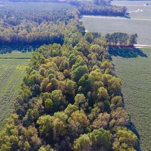 Photo of UNDER CONTRACT!  61.43 Acres of Farm and Timber Land For Sale in Wilson County NC!