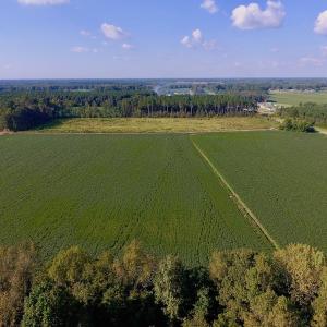 Photo of UNDER CONTRACT!  61.43 Acres of Farm and Timber Land For Sale in Wilson County NC!
