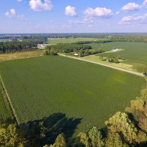 Photo of UNDER CONTRACT!  61.43 Acres of Farm and Timber Land For Sale in Wilson County NC!