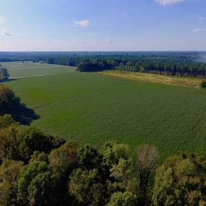 Photo of UNDER CONTRACT!  61.43 Acres of Farm and Timber Land For Sale in Wilson County NC!