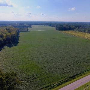 Photo of UNDER CONTRACT!  61.43 Acres of Farm and Timber Land For Sale in Wilson County NC!