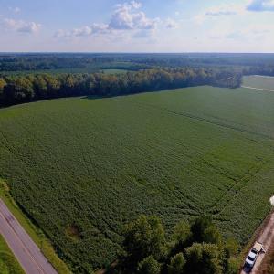 Photo of UNDER CONTRACT!  61.43 Acres of Farm and Timber Land For Sale in Wilson County NC!