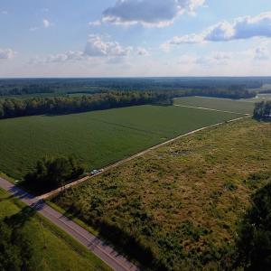 Photo of UNDER CONTRACT!  61.43 Acres of Farm and Timber Land For Sale in Wilson County NC!