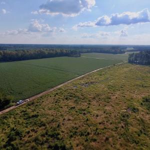 Photo of UNDER CONTRACT!  61.43 Acres of Farm and Timber Land For Sale in Wilson County NC!