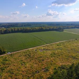 Photo of UNDER CONTRACT!  61.43 Acres of Farm and Timber Land For Sale in Wilson County NC!