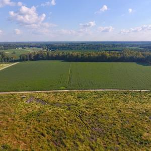 Photo of UNDER CONTRACT!  61.43 Acres of Farm and Timber Land For Sale in Wilson County NC!