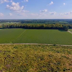 Photo of UNDER CONTRACT!  61.43 Acres of Farm and Timber Land For Sale in Wilson County NC!