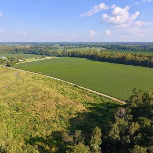 Photo of UNDER CONTRACT!  61.43 Acres of Farm and Timber Land For Sale in Wilson County NC!