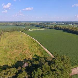 Photo of UNDER CONTRACT!  61.43 Acres of Farm and Timber Land For Sale in Wilson County NC!