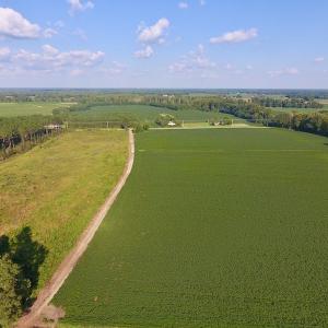 Photo of UNDER CONTRACT!  61.43 Acres of Farm and Timber Land For Sale in Wilson County NC!