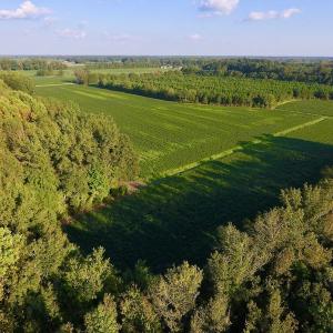 Photo of UNDER CONTRACT!  61.43 Acres of Farm and Timber Land For Sale in Wilson County NC!