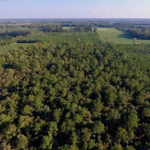 Photo of UNDER CONTRACT!  61.43 Acres of Farm and Timber Land For Sale in Wilson County NC!