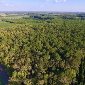 Photo of UNDER CONTRACT!  61.43 Acres of Farm and Timber Land For Sale in Wilson County NC!