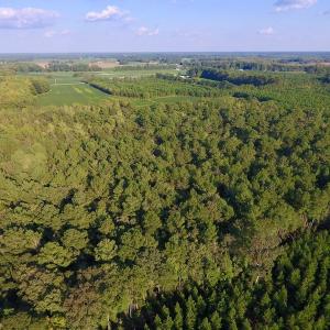 Photo of UNDER CONTRACT!  61.43 Acres of Farm and Timber Land For Sale in Wilson County NC!