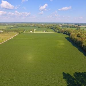Photo of UNDER CONTRACT!  61.43 Acres of Farm and Timber Land For Sale in Wilson County NC!