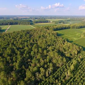 Photo of UNDER CONTRACT!  61.43 Acres of Farm and Timber Land For Sale in Wilson County NC!