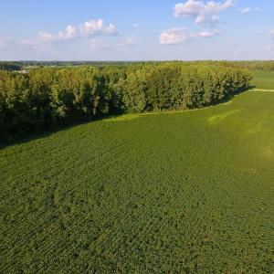 Photo of UNDER CONTRACT!  61.43 Acres of Farm and Timber Land For Sale in Wilson County NC!