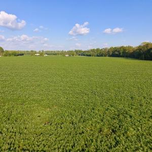 Photo of UNDER CONTRACT!  61.43 Acres of Farm and Timber Land For Sale in Wilson County NC!