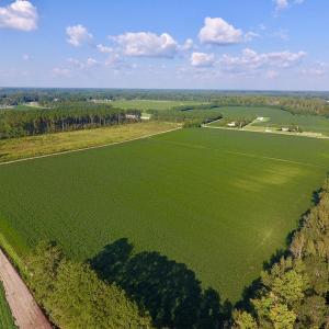 Photo of UNDER CONTRACT!  61.43 Acres of Farm and Timber Land For Sale in Wilson County NC!