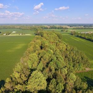 Photo of UNDER CONTRACT!  61.43 Acres of Farm and Timber Land For Sale in Wilson County NC!