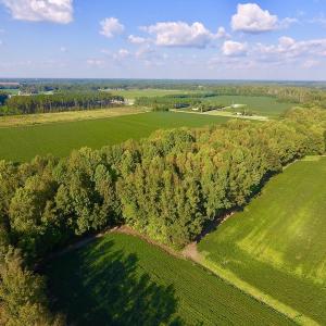 Photo of UNDER CONTRACT!  61.43 Acres of Farm and Timber Land For Sale in Wilson County NC!