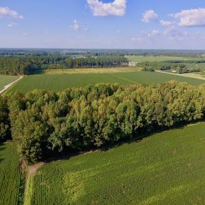 Photo of UNDER CONTRACT!  61.43 Acres of Farm and Timber Land For Sale in Wilson County NC!