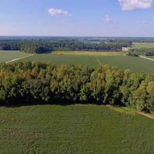 Photo of UNDER CONTRACT!  61.43 Acres of Farm and Timber Land For Sale in Wilson County NC!