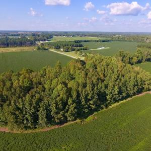 Photo of UNDER CONTRACT!  61.43 Acres of Farm and Timber Land For Sale in Wilson County NC!