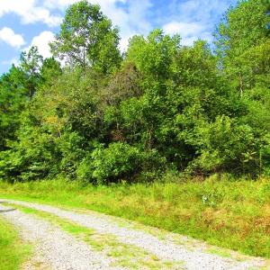 Photo of UNDER CONTRACT!  10.08 Acres of Hunting Land For Sale in Warren County NC!