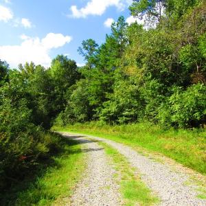 Photo of UNDER CONTRACT!  10.08 Acres of Hunting Land For Sale in Warren County NC!