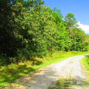 Photo of UNDER CONTRACT!  10.08 Acres of Hunting Land For Sale in Warren County NC!