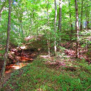 Photo of UNDER CONTRACT!  10.08 Acres of Hunting Land For Sale in Warren County NC!