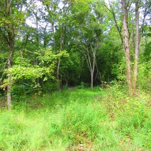 Photo of UNDER CONTRACT!  10.08 Acres of Hunting Land For Sale in Warren County NC!