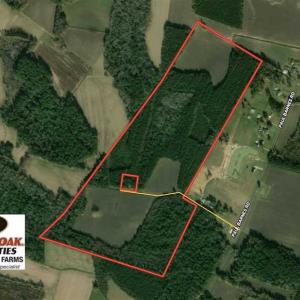 Photo of SOLD!!  97 Acres of Farm and Timber Land For Sale in Columbus County NC!