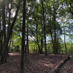 Photo of UNDER CONTRACT!  16 Acres of Hunting and Recreational Land For Sale in Warren County NC!