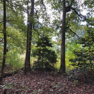 Photo of UNDER CONTRACT!  16 Acres of Hunting and Recreational Land For Sale in Warren County NC!