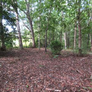 Photo of UNDER CONTRACT!  16 Acres of Hunting and Recreational Land For Sale in Warren County NC!