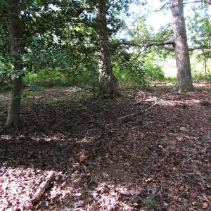Photo of UNDER CONTRACT!  16 Acres of Hunting and Recreational Land For Sale in Warren County NC!